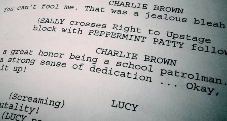cinema-script preview 3