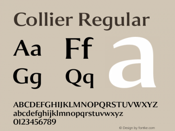 collier preview 5