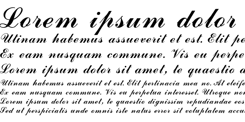 commercial-script-mn preview 5