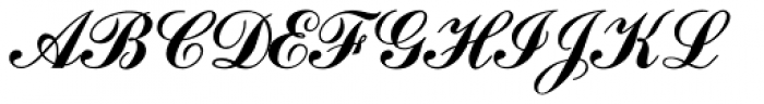 commercial-script-mn preview 3
