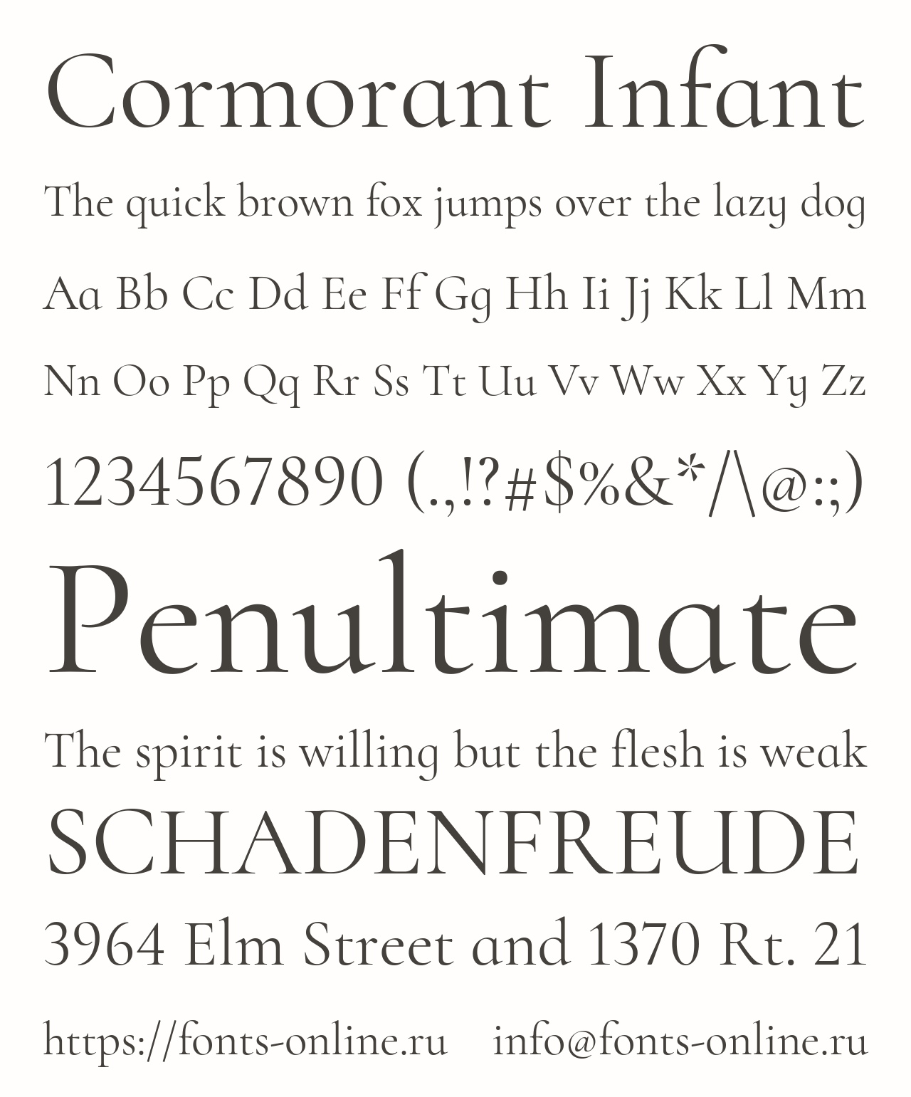 cormorant-infant preview 5