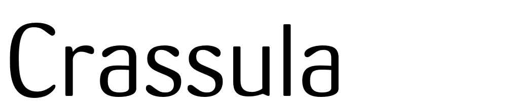 crassula preview 3