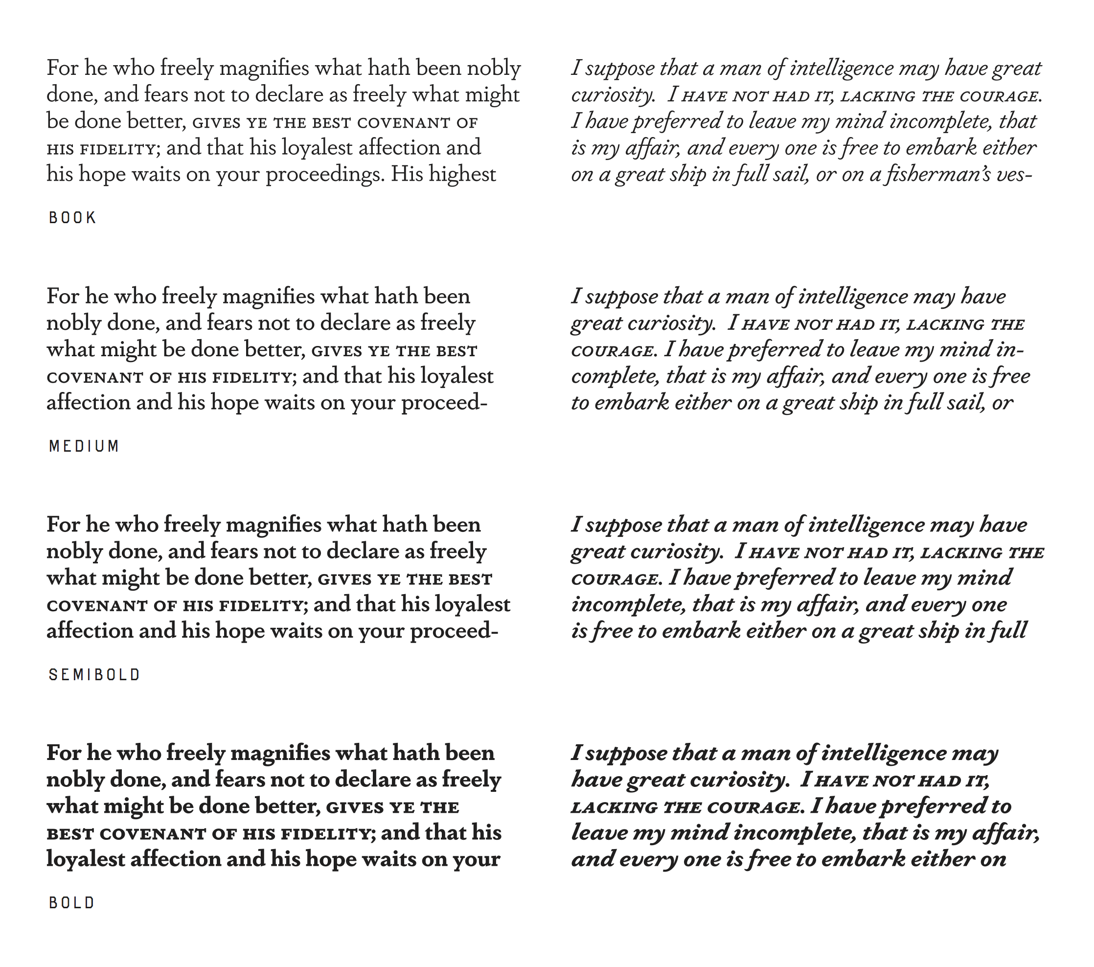 dapifer preview 5