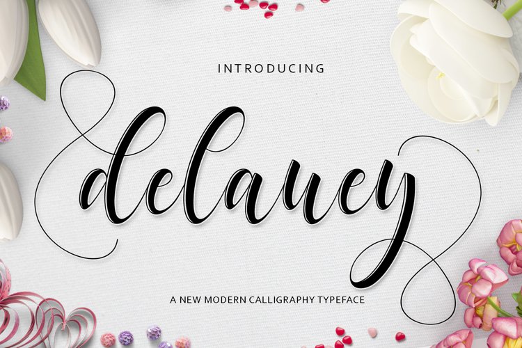 delaney preview 4