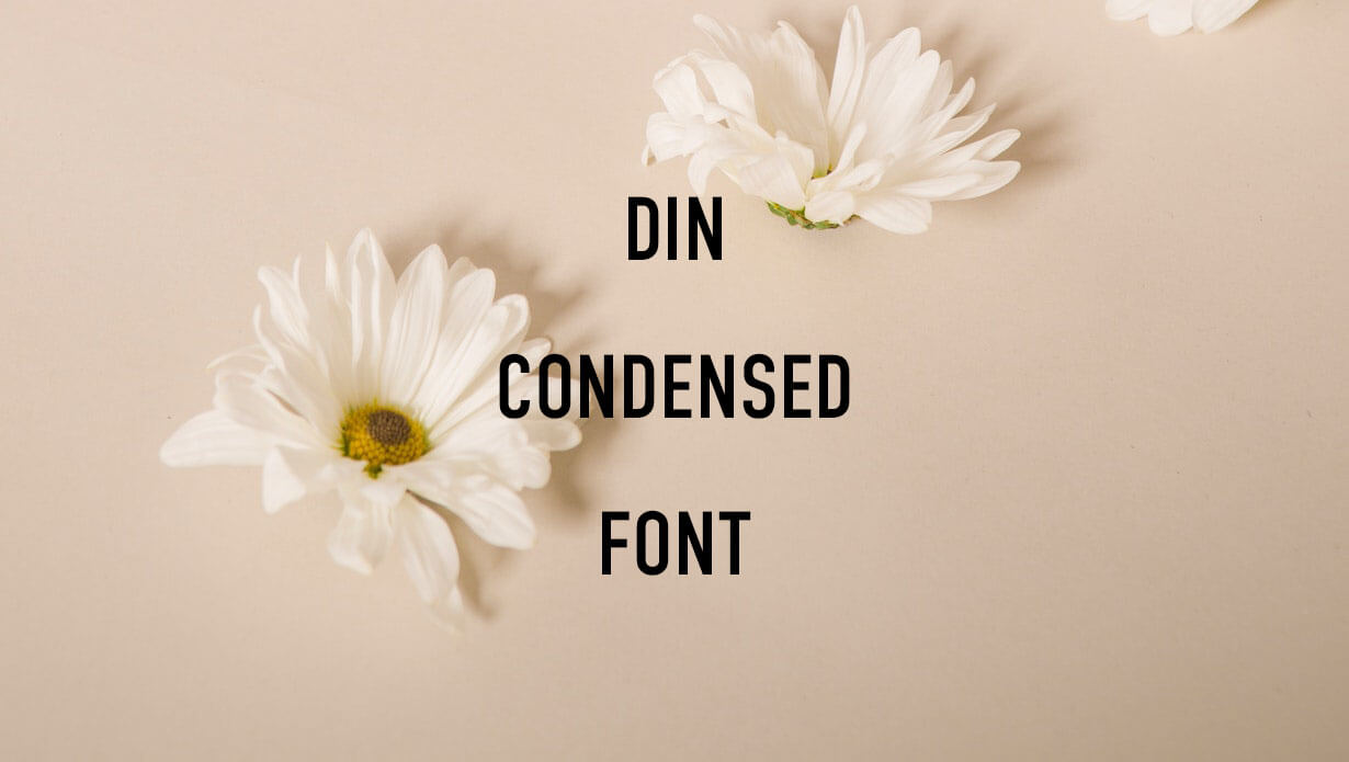 din-condensed preview 5