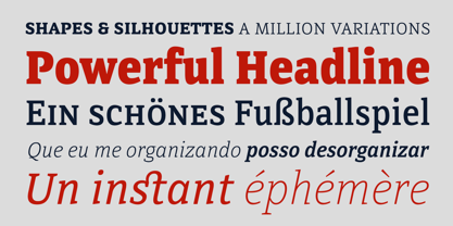 directa-serif-variable preview 3