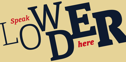 directa-serif-variable preview 4