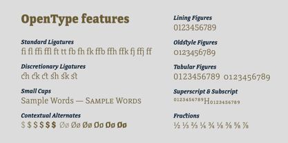 directa-serif-variable preview 5