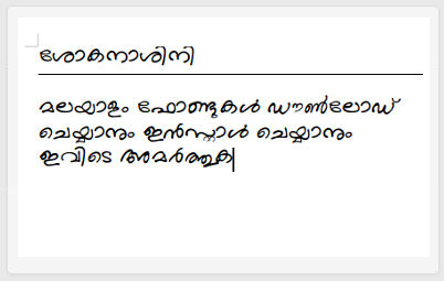 director-malayalam preview 2