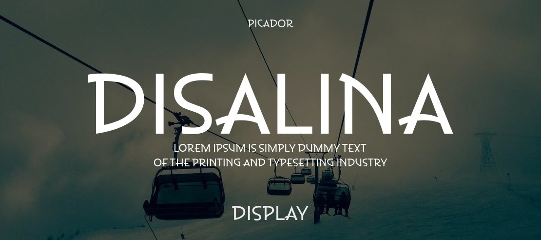 disalina preview 3