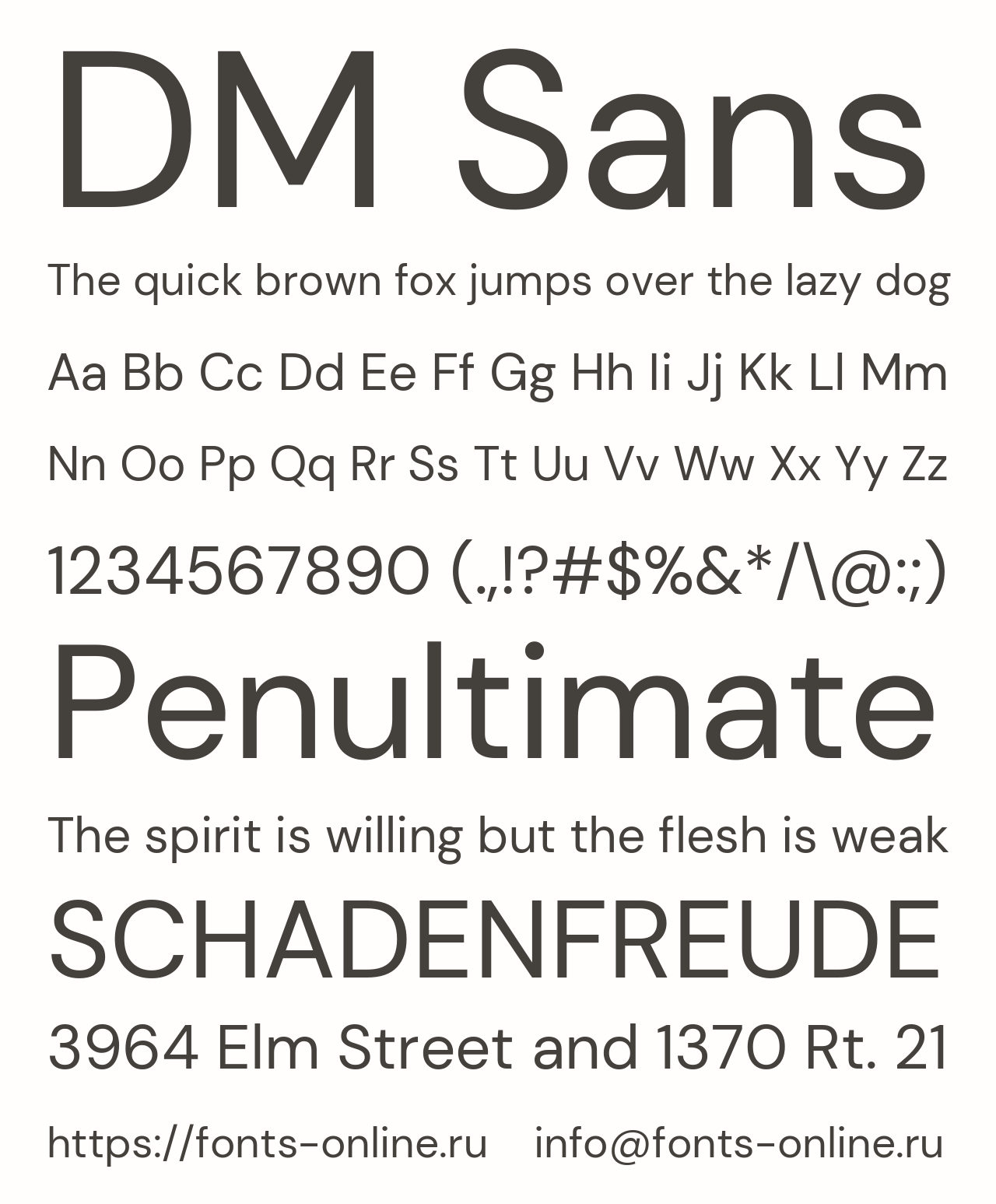 dm-sans preview 1