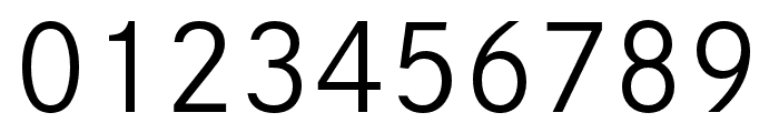 dnp-shuei-gothic-gin-std font preview - main display