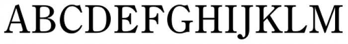 dnp-shuei-mincho-pr6 font preview - main display