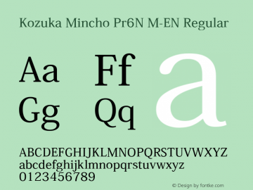 dnp-shuei-mincho-pr6n preview 1