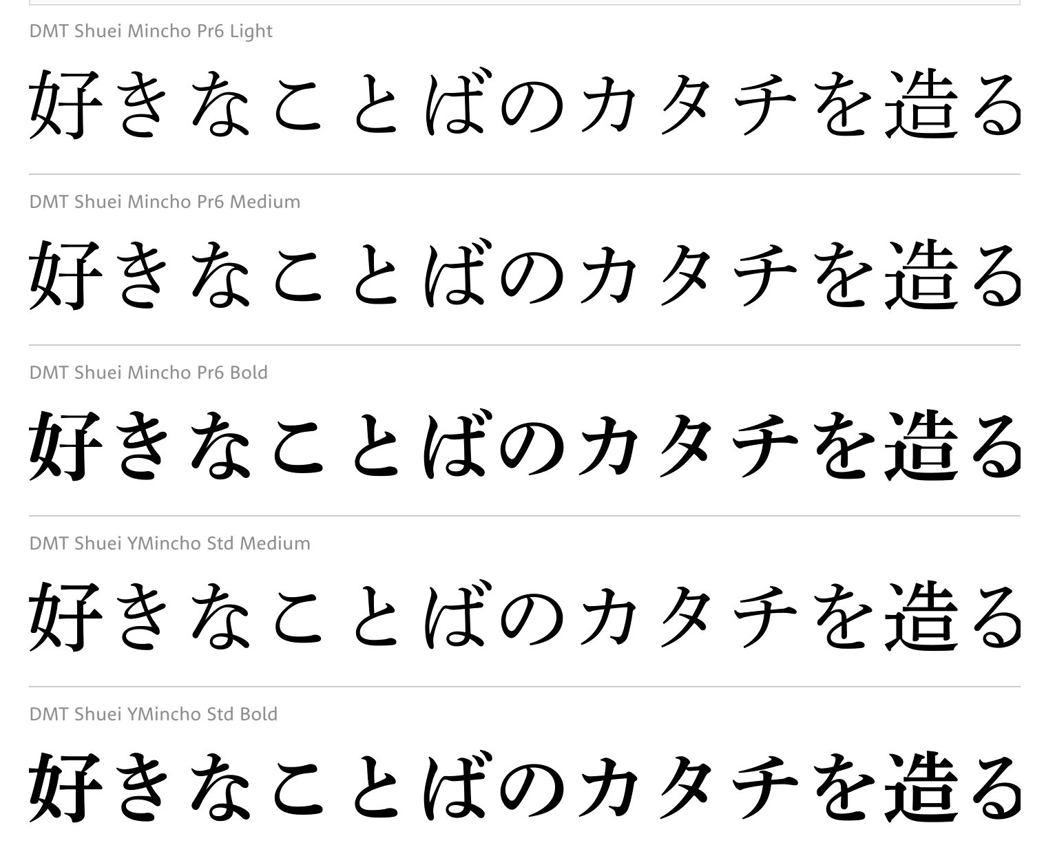 dnp-shuei-nmincho-std preview 4