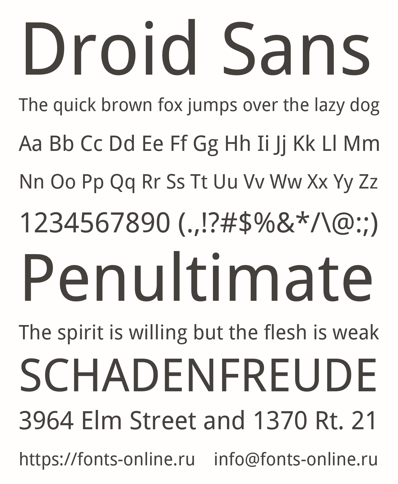 droid-sans preview 5