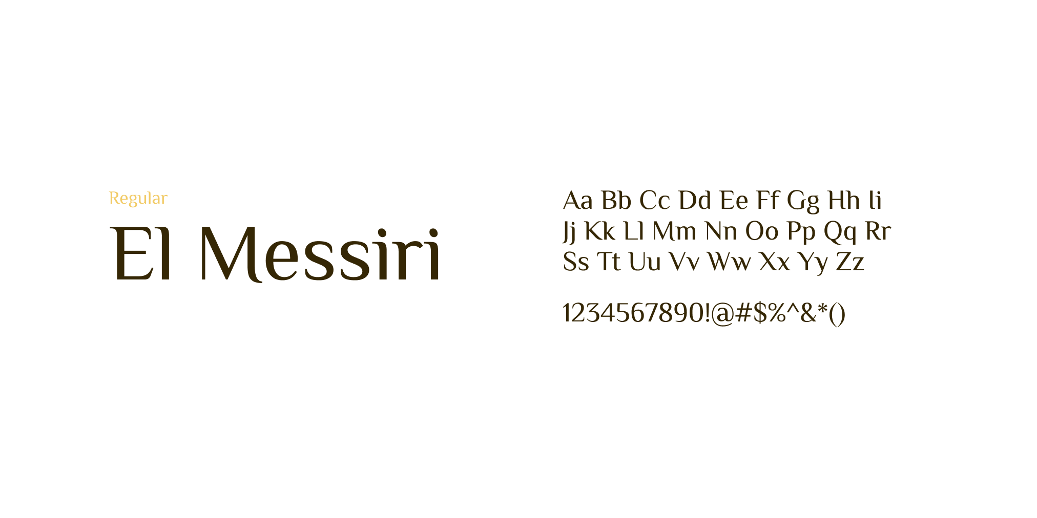 el-messiri preview 4