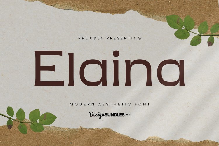 elaina font preview - main display