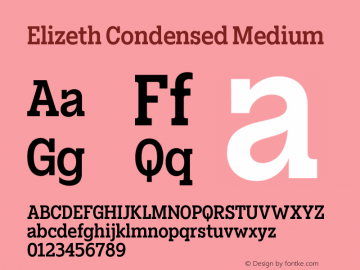 elizeth-condensed preview 4