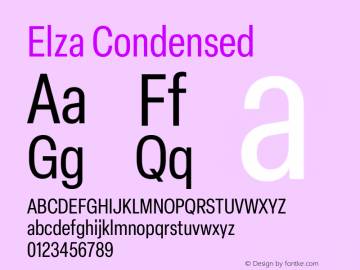elza-condensed preview 1