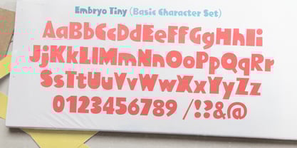 embryo preview 2