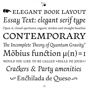 essay-text preview 3