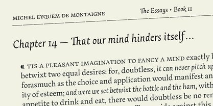 essay-text preview 2