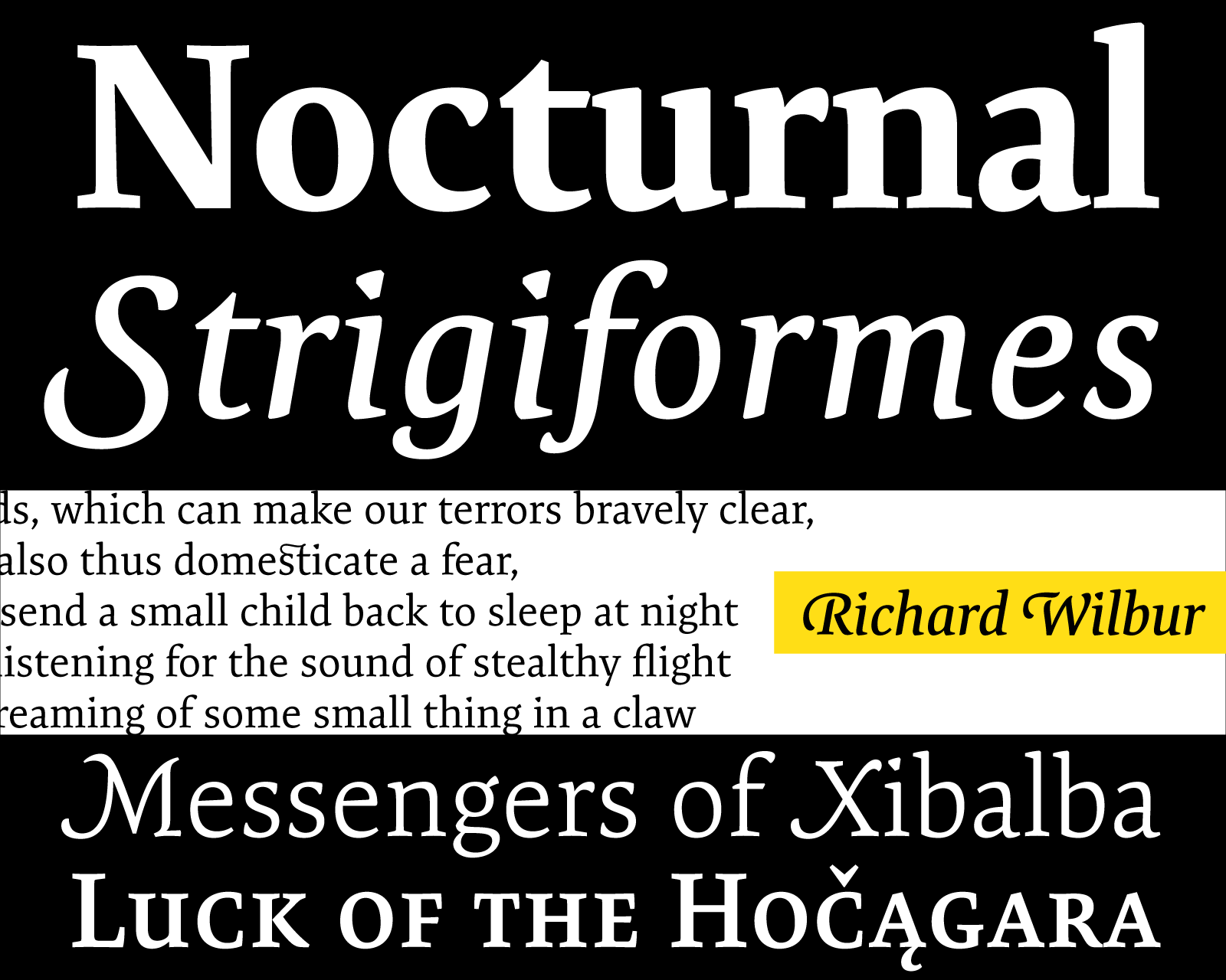 expo-serif preview 5