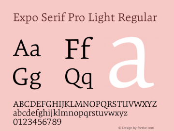 expo-serif preview 3