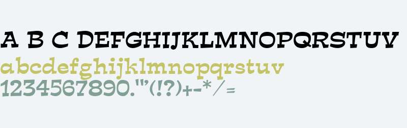 expo-serif preview 1