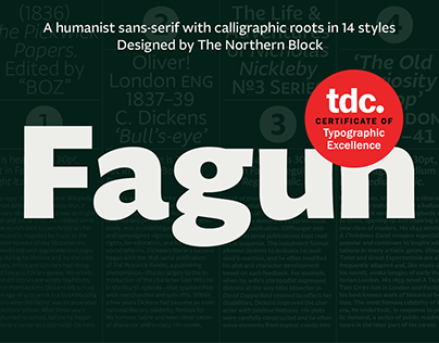 fagun preview 2