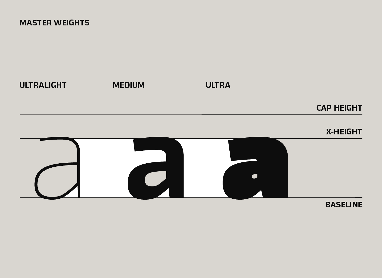 fagun preview 5