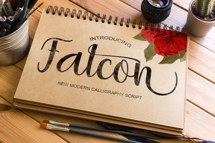 falcon-script preview 4