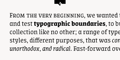 ff-amman-serif preview 2