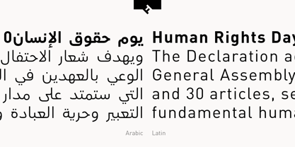 ff-din-arabic preview 3