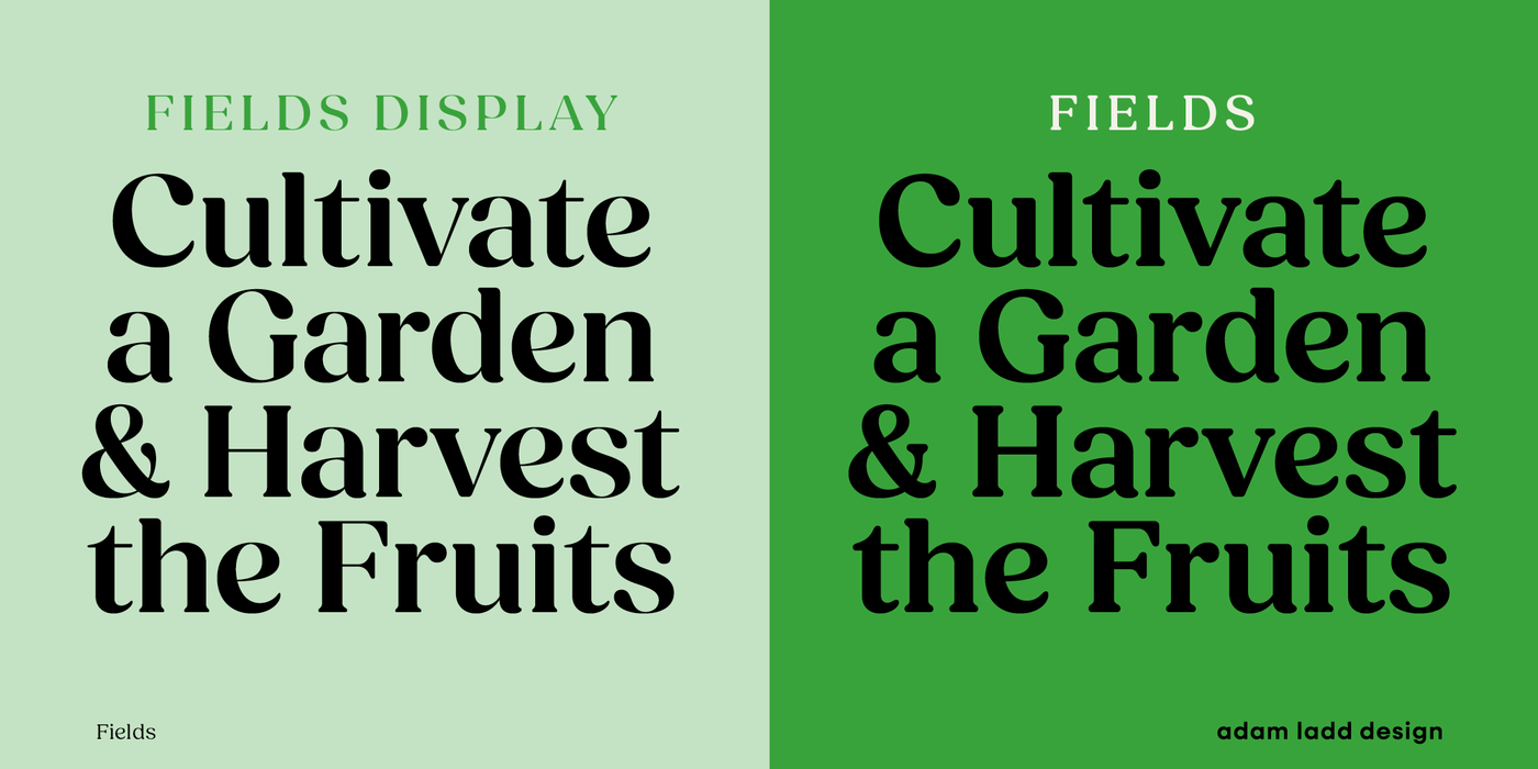 fields-display preview 1