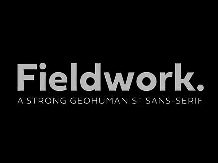 fieldwork preview 2