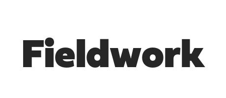 fieldwork preview 5