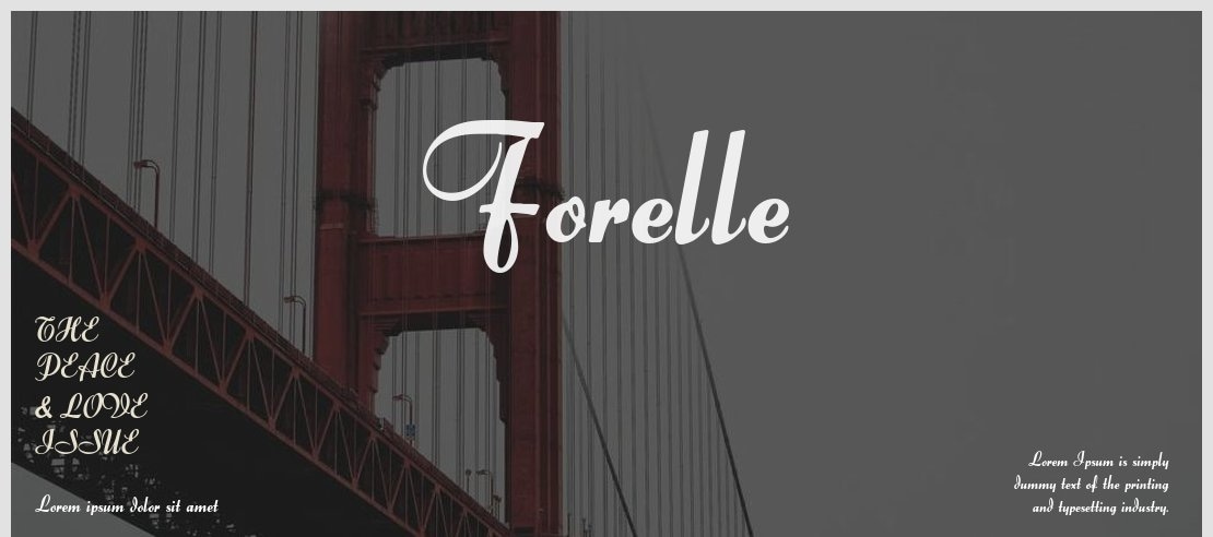 forelle-mn preview 3