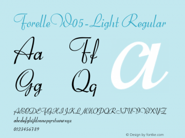 forelle-mn preview 4