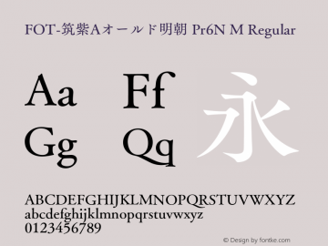 fot-tsukuaoldmin-pr6n preview 5