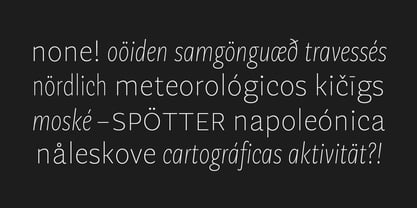 geller-sans-variable preview 1