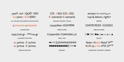 geller-sans-variable preview 5
