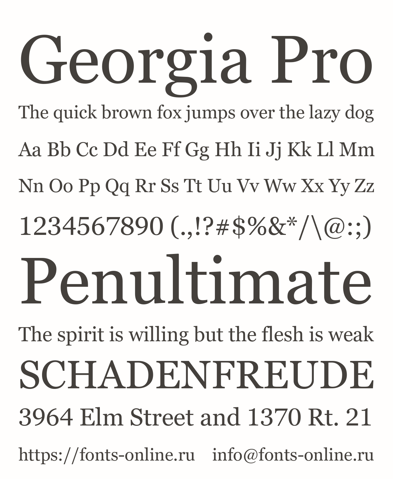 georgia-pro font preview - main display