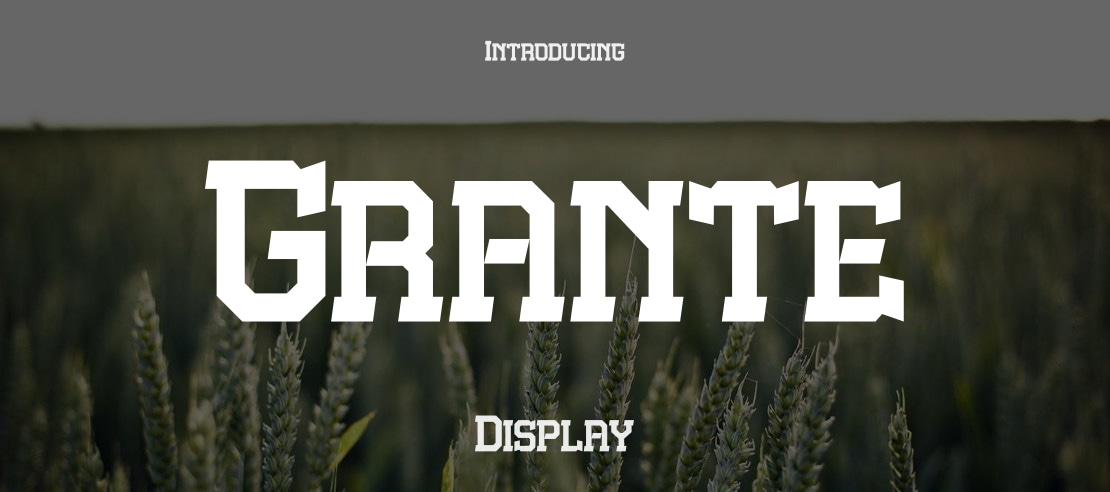 grante preview 5
