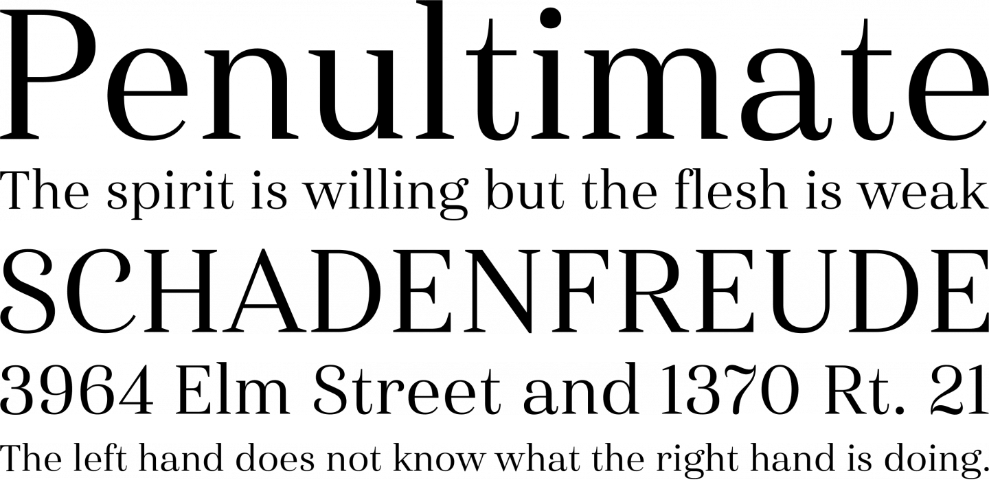haboro-serif preview 4