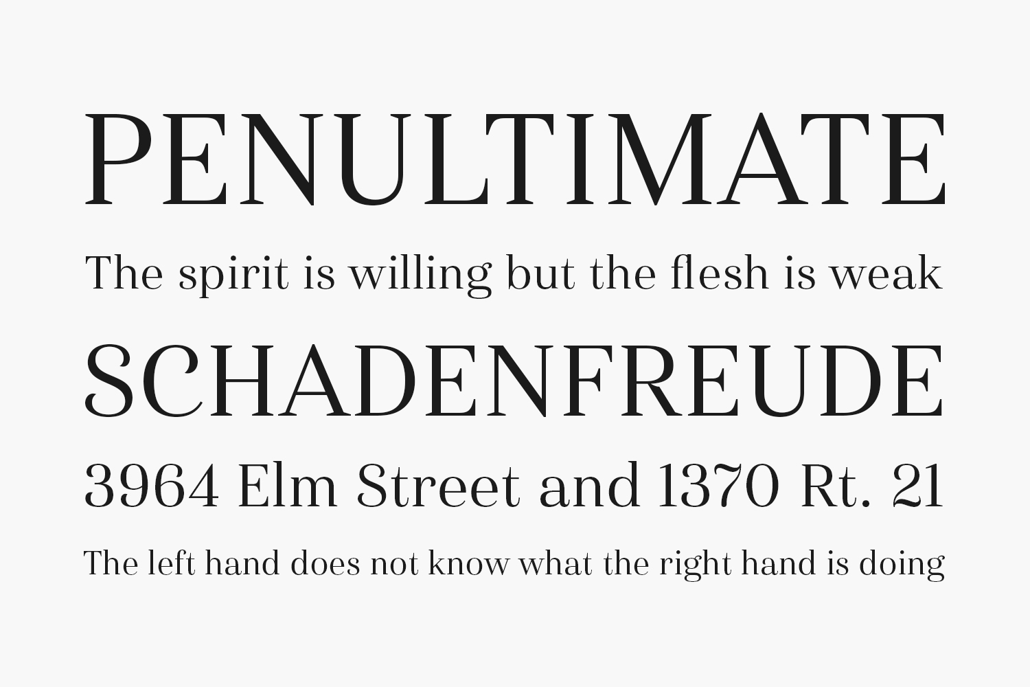 haboro-serif preview 1