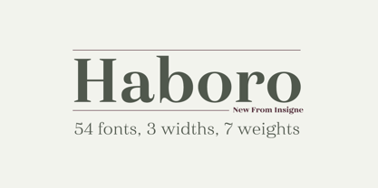 haboro preview 1