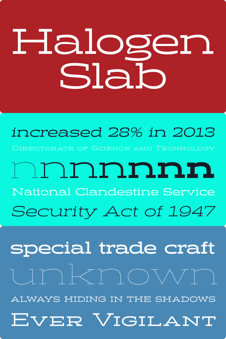 halogen-slab font preview - main display