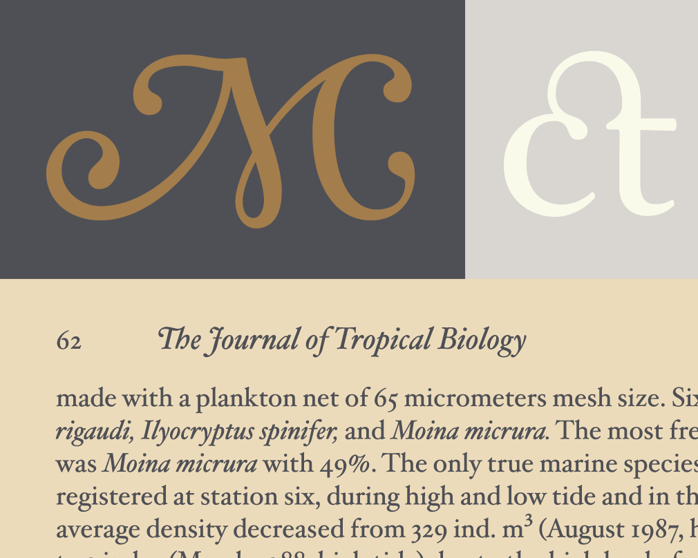 hoefler-text preview 2